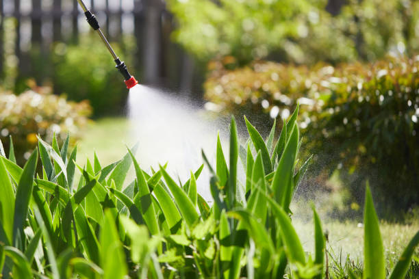 24/7 Emergency Wasp Removal experts in Chandler, TX