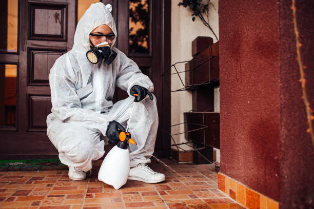 Reliable Wasp Removal contractor in Chandler, TX by Show Me Pest Control